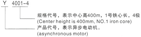 西安泰富西玛Y系列(H355-1000)高压YE2-90S-2三相异步电机型号说明