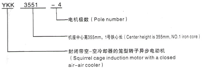 YKK系列(H355-1000)高压YE2-90S-2三相异步电机西安泰富西玛电机型号说明