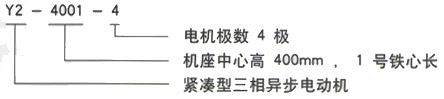 YR系列(H355-1000)高压YE2-90S-2三相异步电机西安西玛电机型号说明